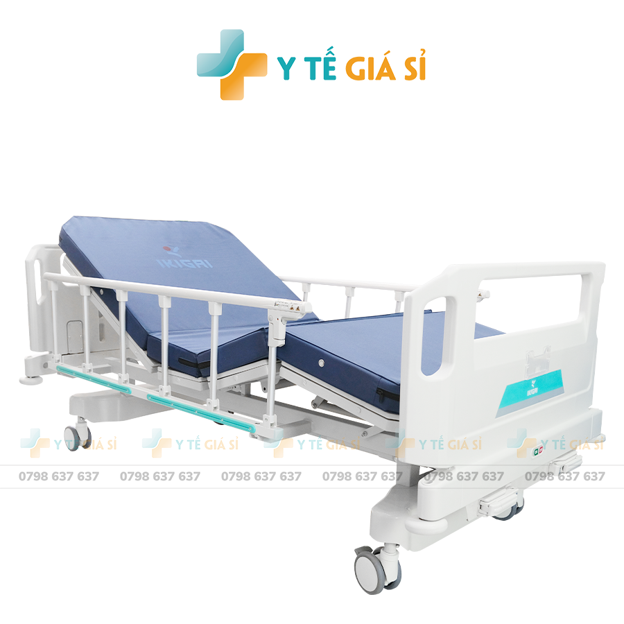 Giường Y Tế Tay Quay 2 Chức Năng Ikigai GHA6