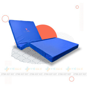 Nệm y tế xơ dừa 2,3 chức năng Ichigo