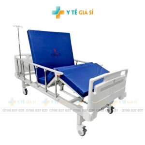 Giường y tế 2 chức năng ICHIGO IG-HB02