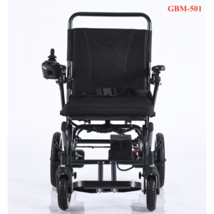 Alternative view of XE LĂN ĐIỆN GBM-501
